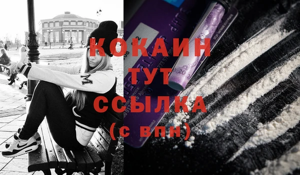 ГАЛЛЮЦИНОГЕННЫЕ ГРИБЫ Абаза