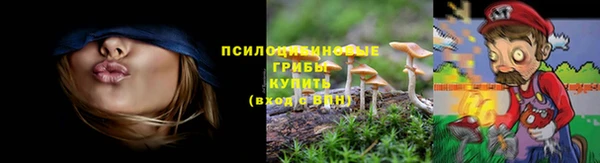 ГАЛЛЮЦИНОГЕННЫЕ ГРИБЫ Абаза