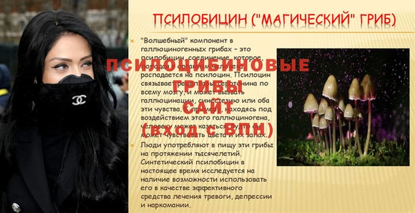 a pvp Алзамай