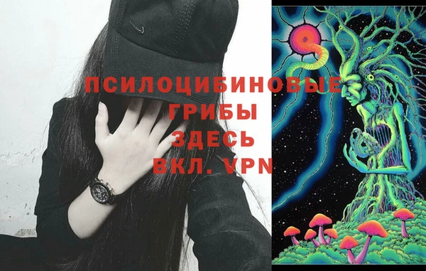 метадон Абинск