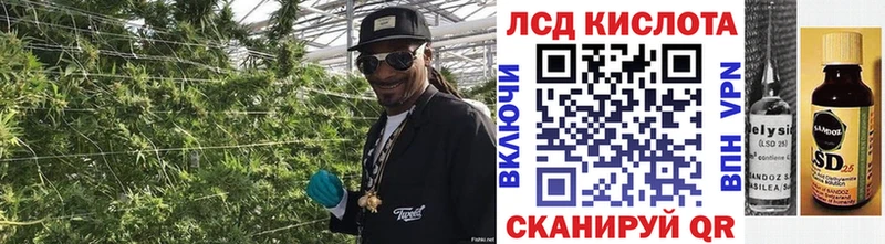 нарко площадка наркотические препараты  Королёв  Марки NBOMe 1,5мг  где можно купить  